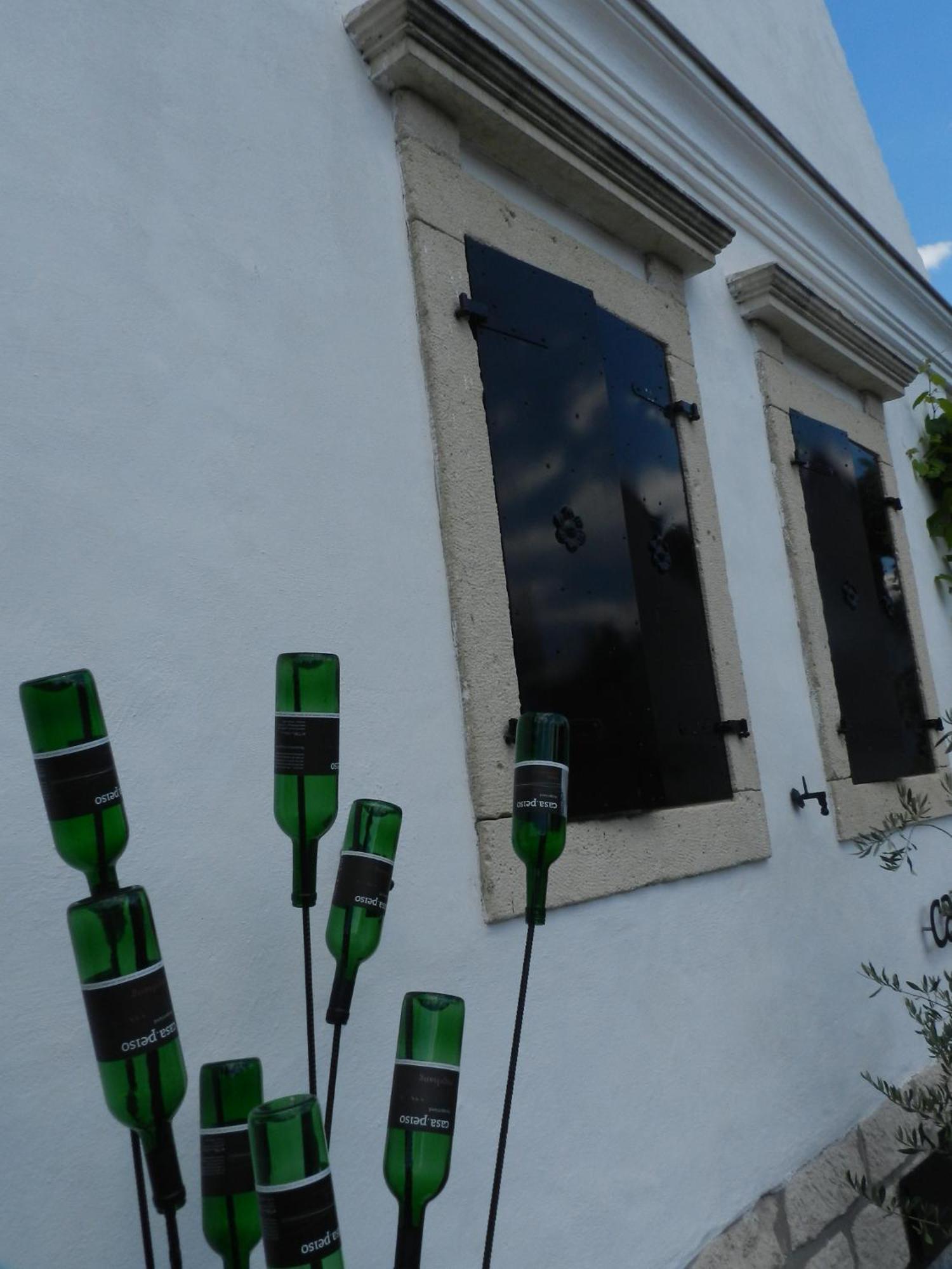 Casa.Peiso Apartment Morbisch am See Bagian luar foto