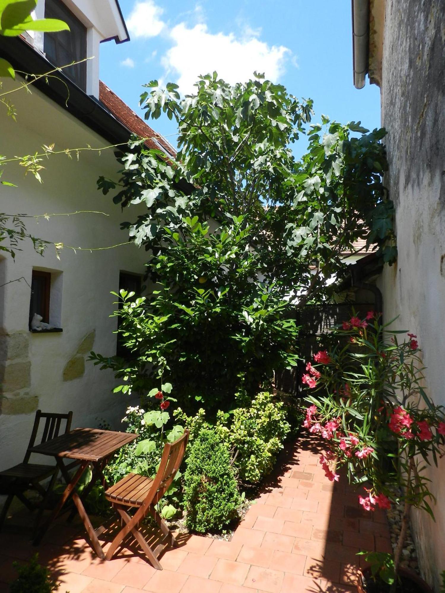 Casa.Peiso Apartment Morbisch am See Bagian luar foto