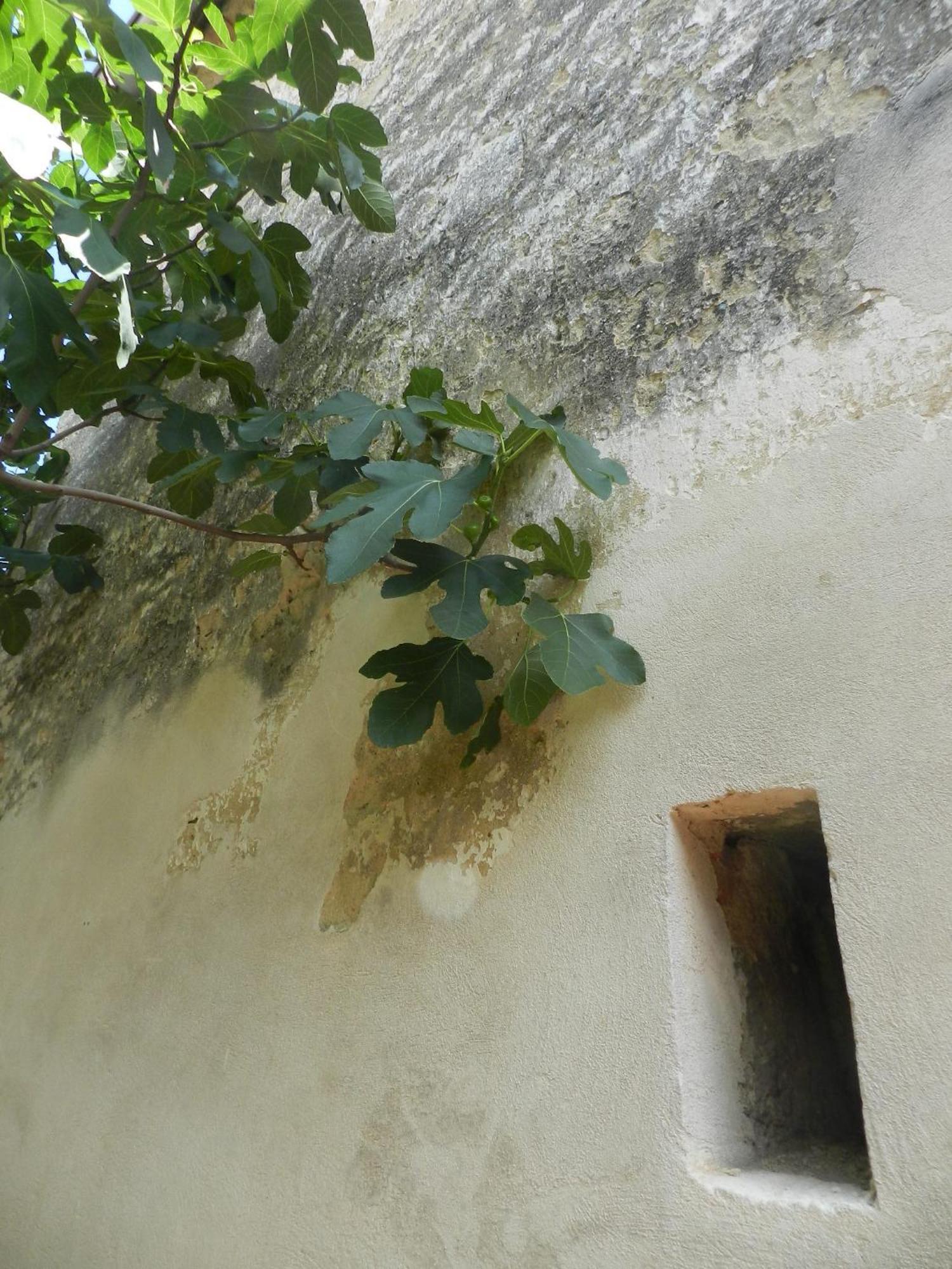 Casa.Peiso Apartment Morbisch am See Bagian luar foto