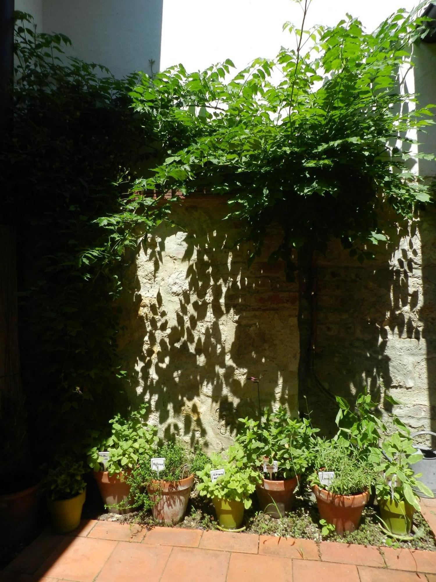 Casa.Peiso Apartment Morbisch am See Bagian luar foto